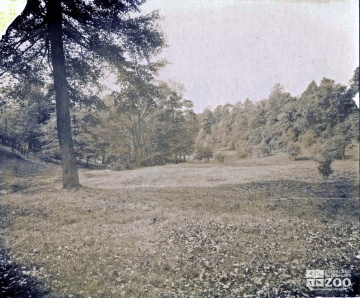 Photo of Brookside Park from the 1890's
