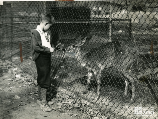 1934 - Deer and Child