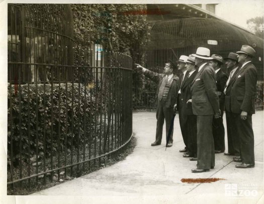 1934 - Zookeeper Points to Lions