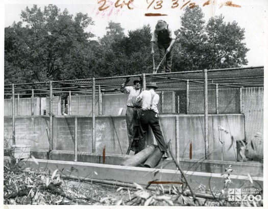 1948 - Removing Fences