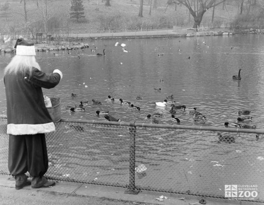 1947 - Santa Feeding Ducks