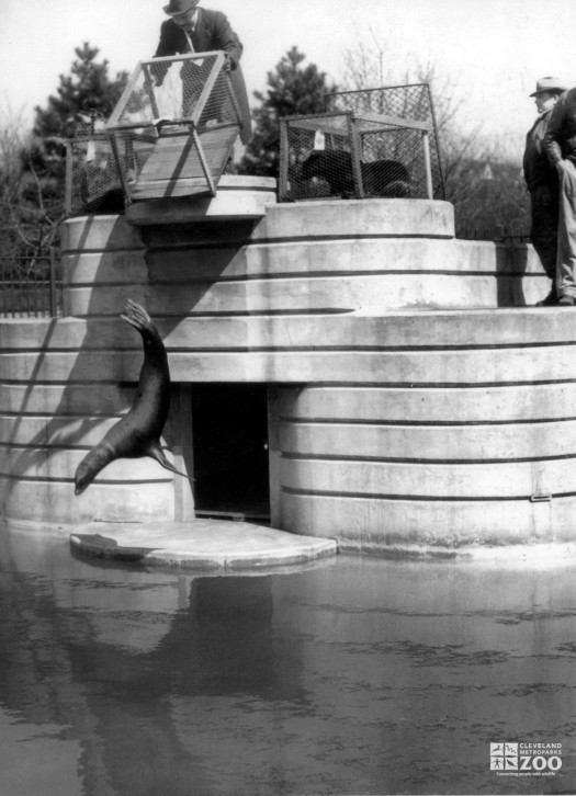 1941 - Sea Lion Release