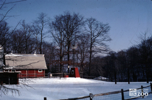 1960's - Children's Farm in Winter