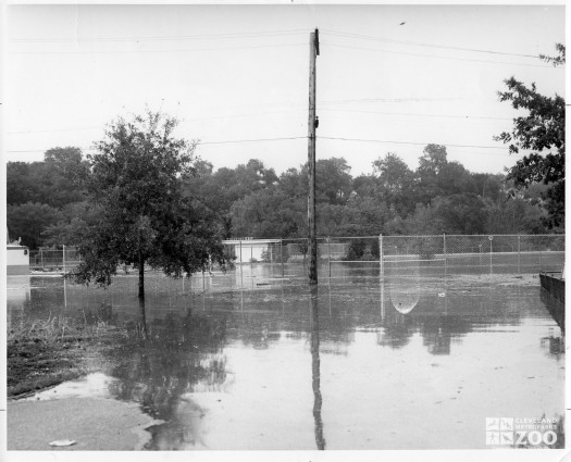 1964 - Flood (2)