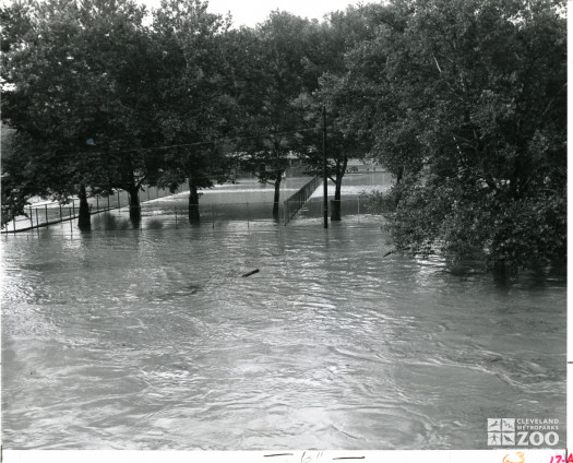 1964 - Flood (3)