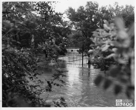 1964 - Flood (4)