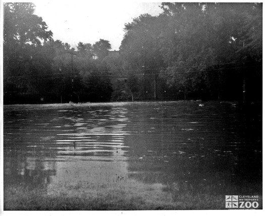 1964 - Flood (9)