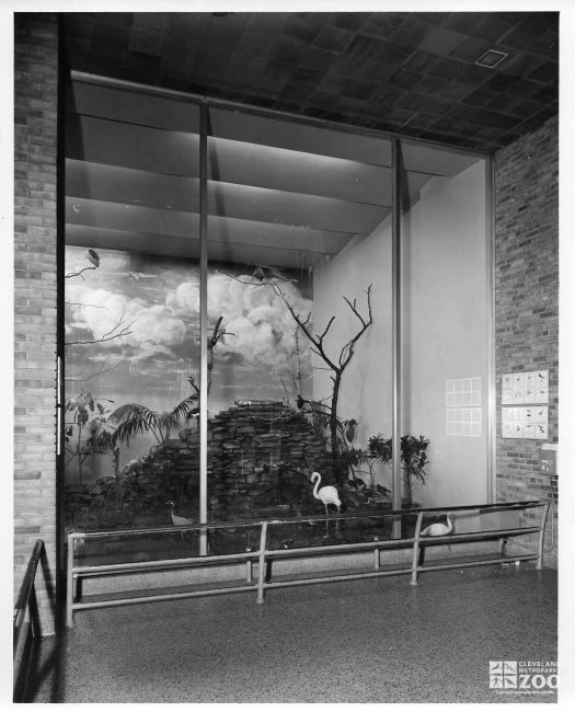 1950 - Birds of the World Building Interior (2)