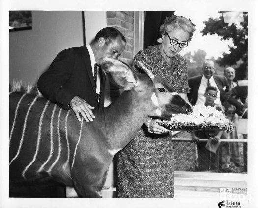 1959 - Bongo, Vernon Stouffer, and Mrs. Goss