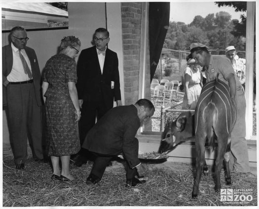 1959 - Bongo Unveiling (3)