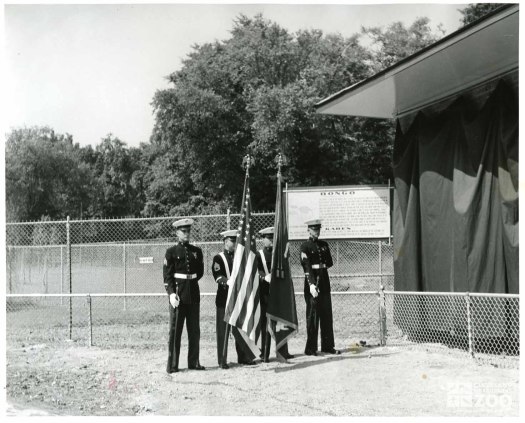 1959 - Bongo Unveiling (4)