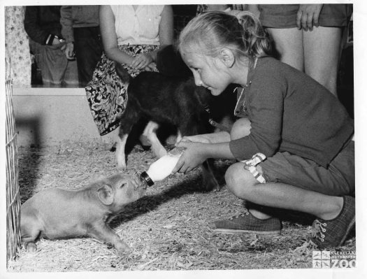 1959 - Child Feeding Pig