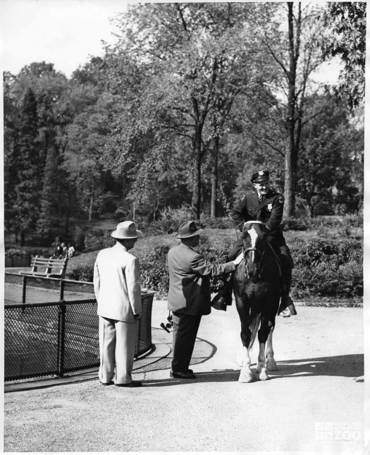 1954 - Director Fletcher Reynolds with Mounted Ranger