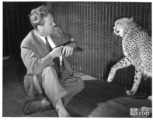 1952 - Director Fletcher Reynolds with Cheetah