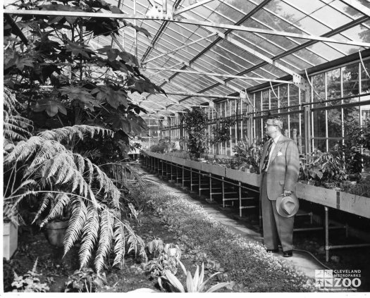 1950's - Director Reynolds in Greenhouse