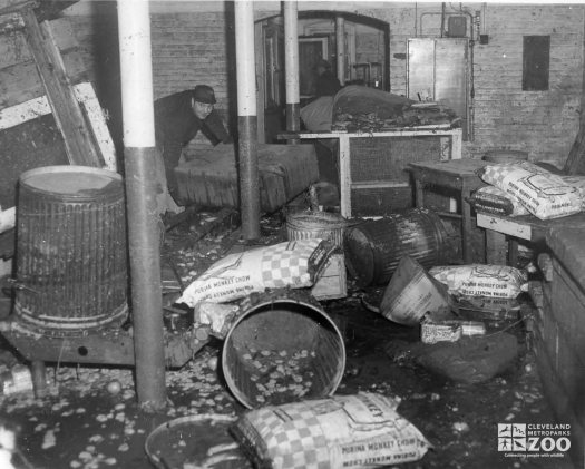 1959 - Flood Damage - Reptile Building