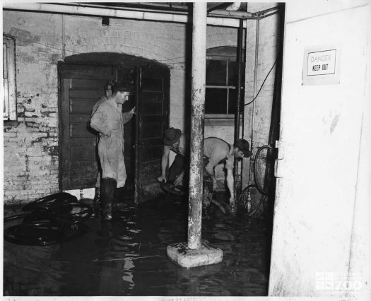 1959 - Flood Damage - Reptile Building (2)