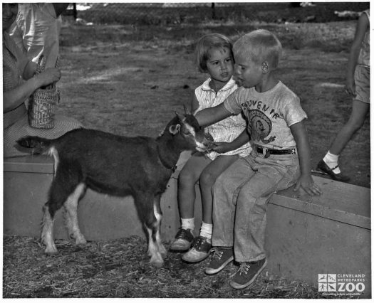 1958 - Goat with Children