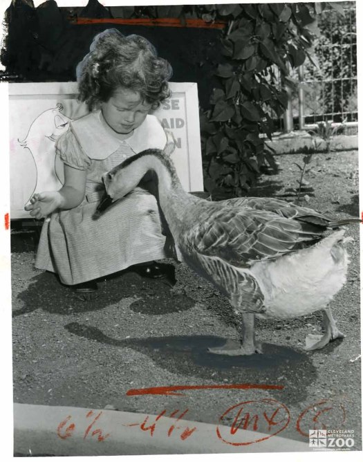 1955 - Goose and Child