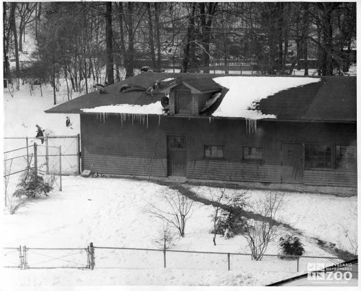 1959 - Ostrich House