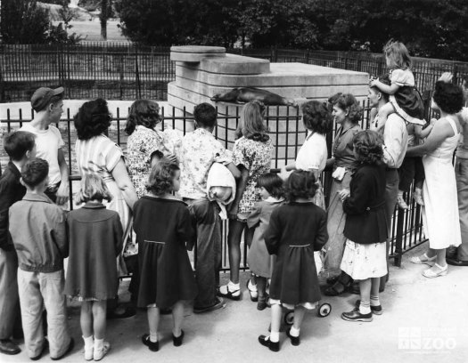 1958 - Visitors at Sea Lion Pool (2)