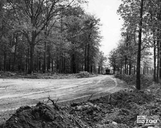 1954 - Construction of Service Road