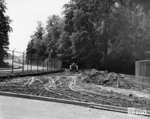 1954 - Construction of Service Road (2)