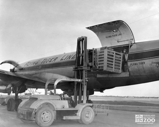 1959 - Shipment of Birds from Africa