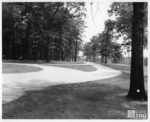 1955 - Tour Train Road