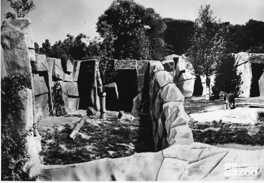 1960's - Lion and Tiger Exhibits