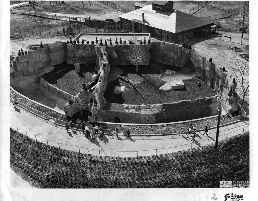 1960's - Lion and Tiger Exhibits aerial view