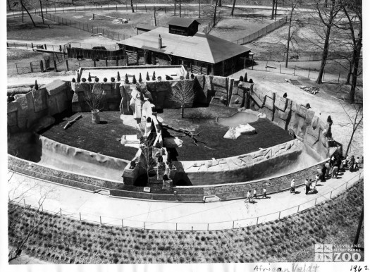 1960's - Lion and Tiger Exhibits aerial view (2)