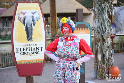 2012 - Clown at Boo at the Zoo
