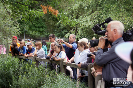 2012 - Crowd at Creature Comforts Event