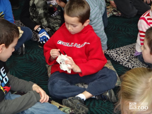 Homeschool Student Checks out a Skull.