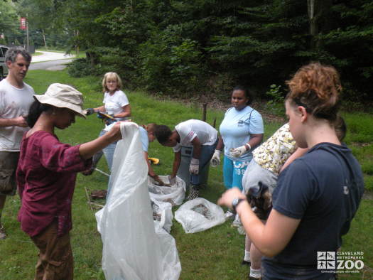 2011 Summer Zoo Crew Clean-up: Getting Ready