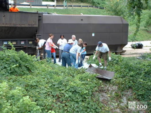 Big Creek Clean-up: Teamwork Pays Off