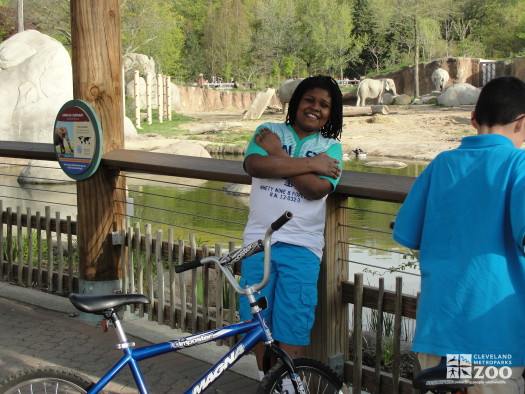 Visitor at African Elephant Crossing Exhibit during Wild Ride at the Zoo