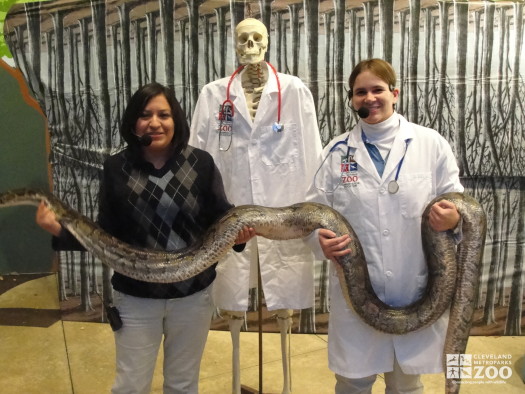 Boo at the Zoo: Snake