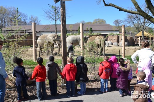School Group Observes Elephants in Connections to Africa Program