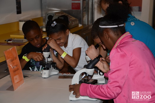 Kids with Microscopes during Vet Bag Program