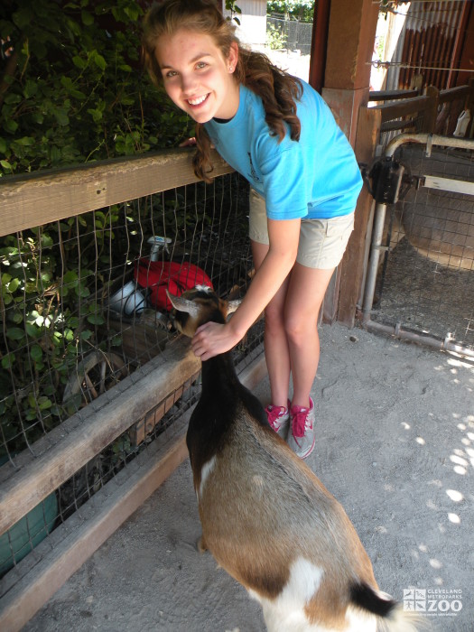 Zoo Crew Member in Contact Yard