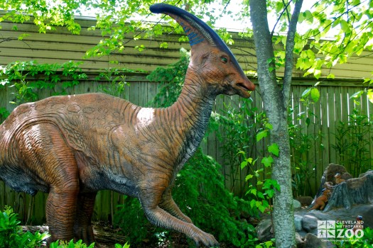 Parasaurolophus