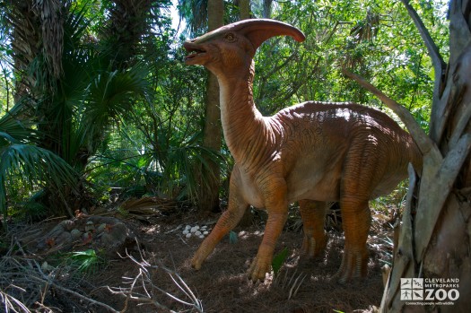 Parasaurolophus “like crested lizard”