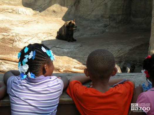 Kindergarten Students Observe Grizzlies