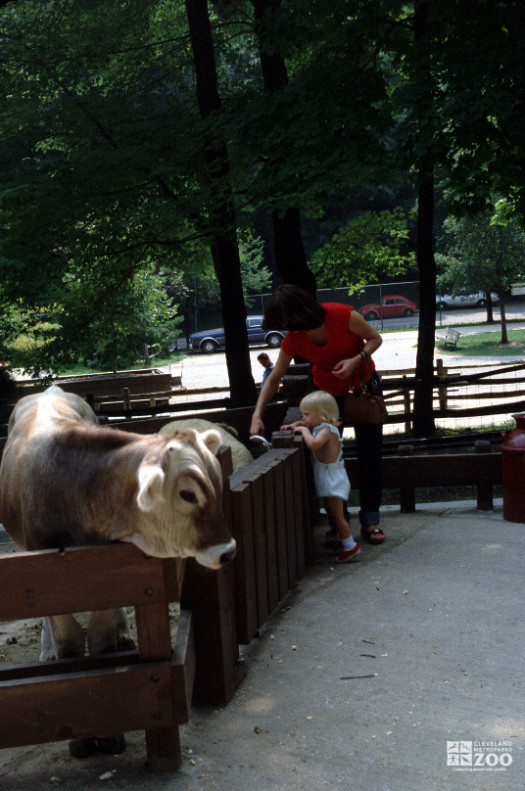 1980's - Children Farm Bovines