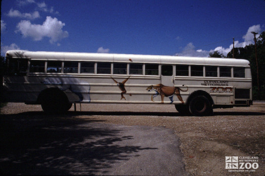1984 - Zoo Bus 2