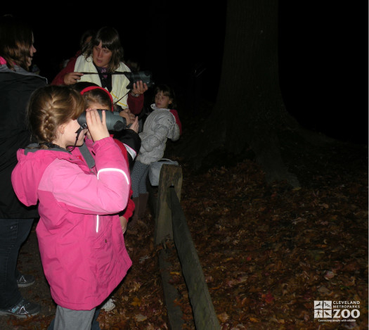 Night Tracks with Night Vision 