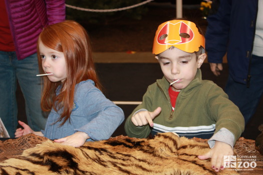 Kids touching Tiger skin- 2014 RV Show