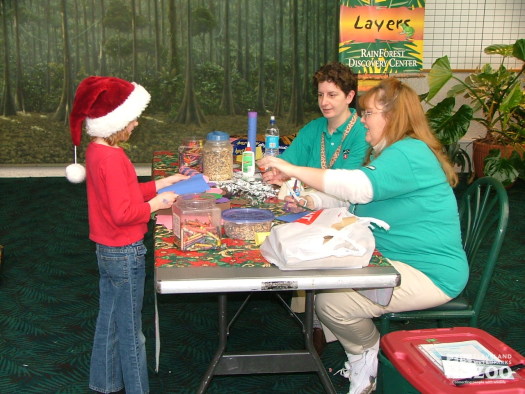 2005 - Volunteer with Christmas craft